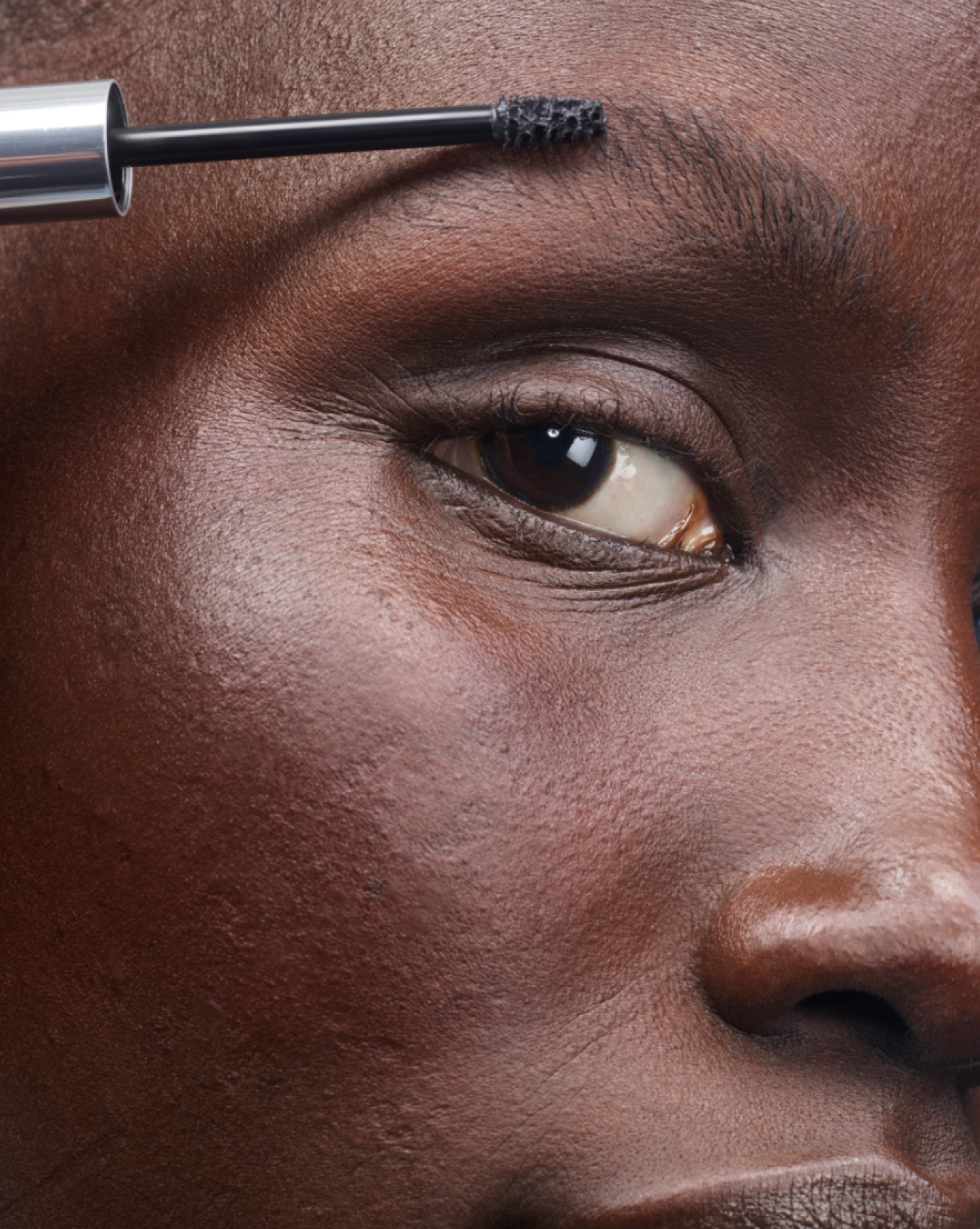 The Brow Kit