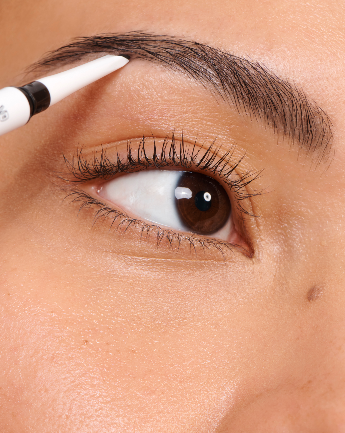 The Brow Kit