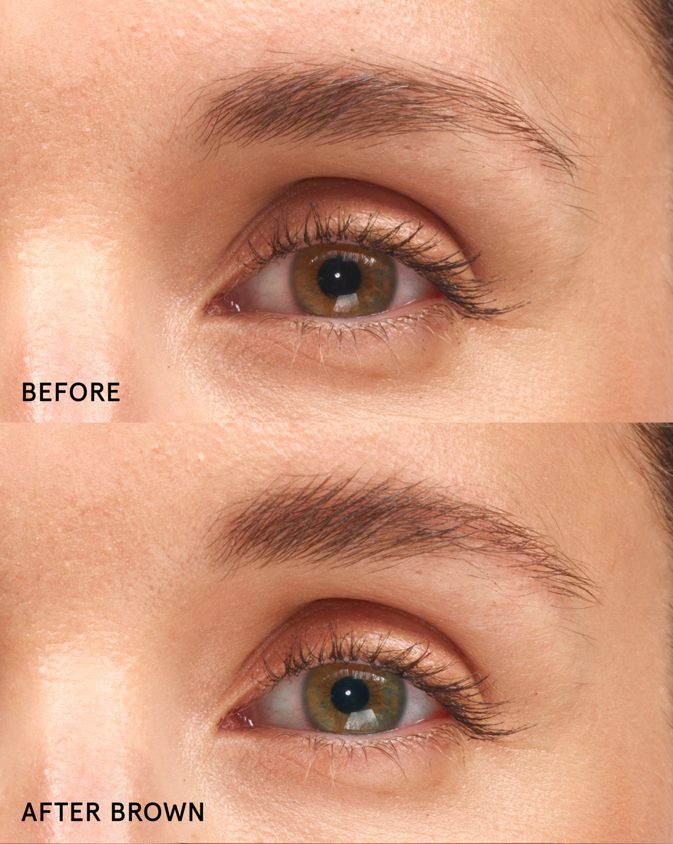 Boy Brow Duo