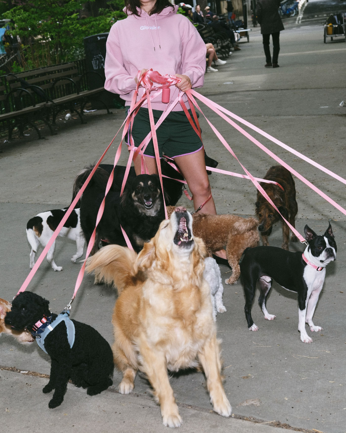 You Look Good Pet Set