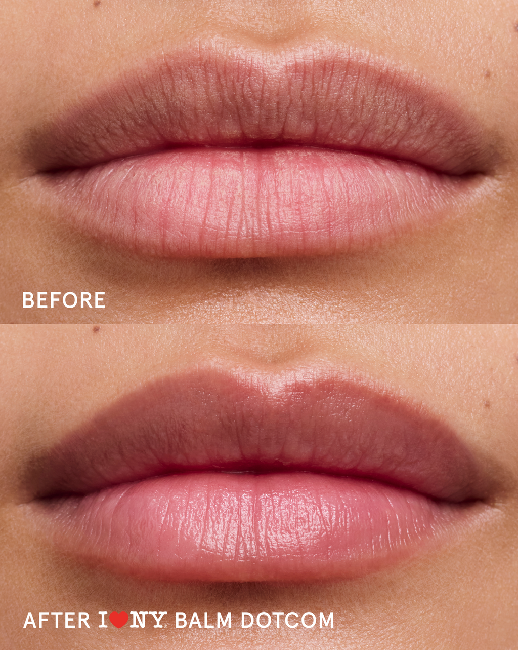 Balm Dotcom