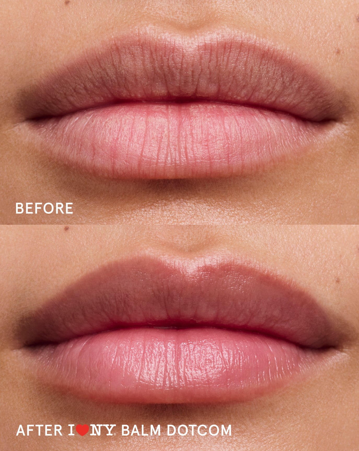 Balm Dotcom